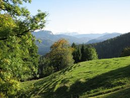 Sommerlandschaft in Marquartstein und Umgebung