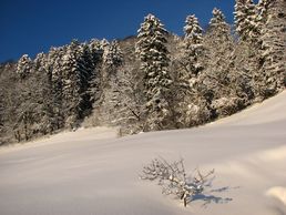 Winterliche Landschaft Fahrnpoint
