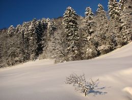Winterlandschaft Fahrnpoint